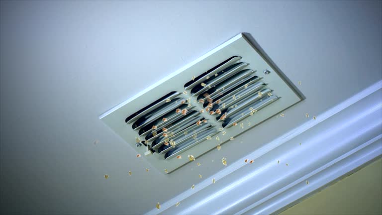 Best Home Air Vent Cleaning  in Pacific City, OR
